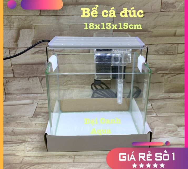 Bể kính đúc nhập khẩu bo cong cạnh mài vi tính kích thước 1818 cm | hồ đúc | bể kính nuôi cá