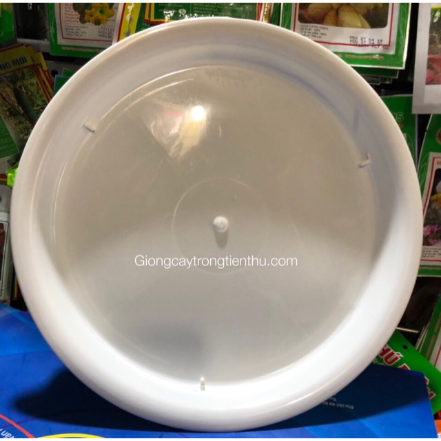 5 ĐĨA LÓT CHẬU CÂY CẢNH PHI 30