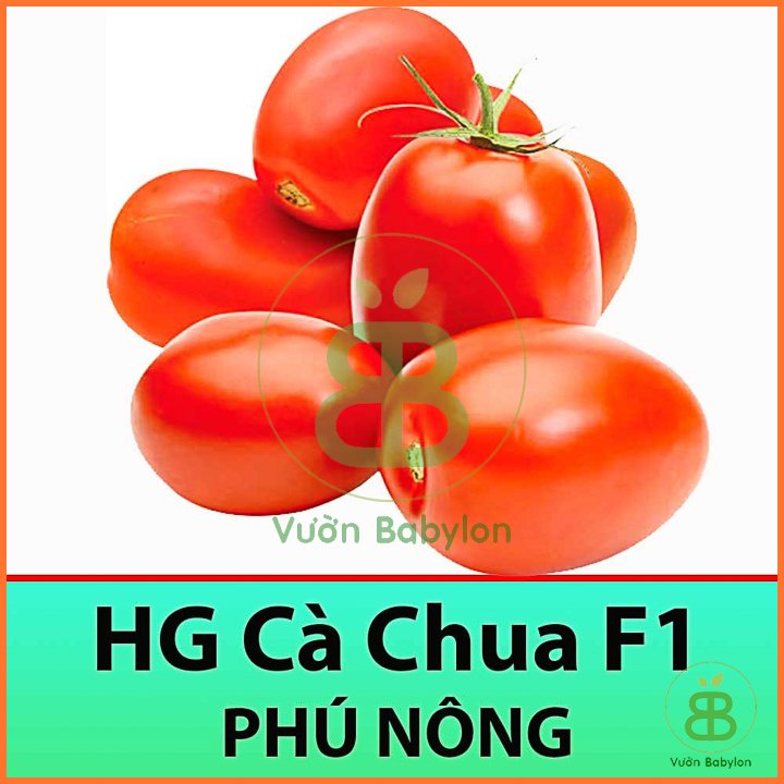 Hạt giống cà chua quả to f1 sai trái 0,1gr