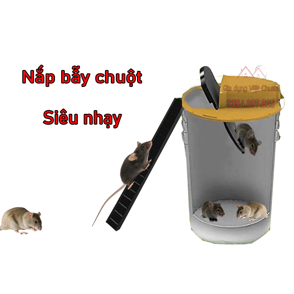 bẫy chuột thông minh bập bênh tự động bắt chuột đồng chuột cống vào thùng