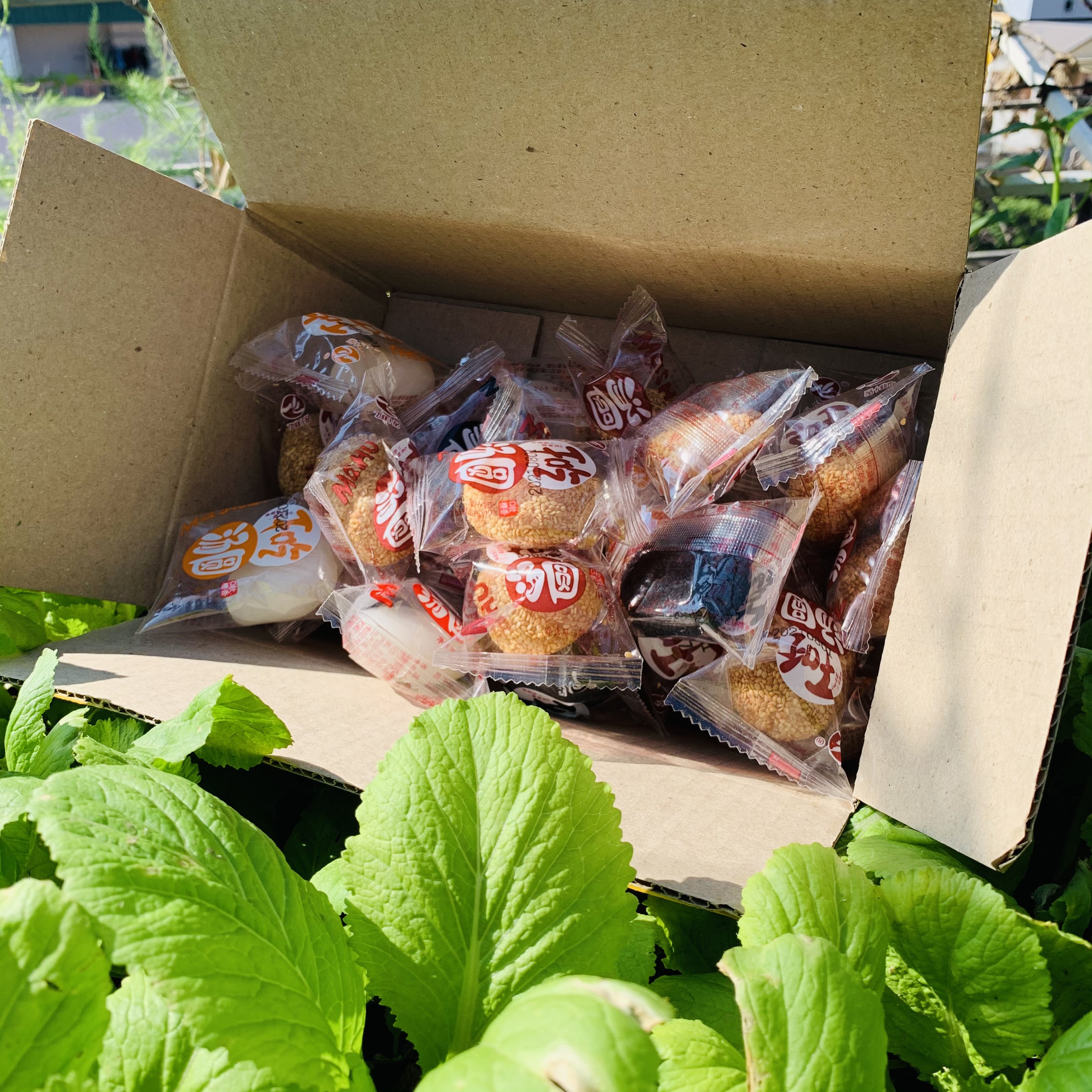 Hộp 1kg bánh Mochi Đài Loan bao ngon - doanngonvietnam