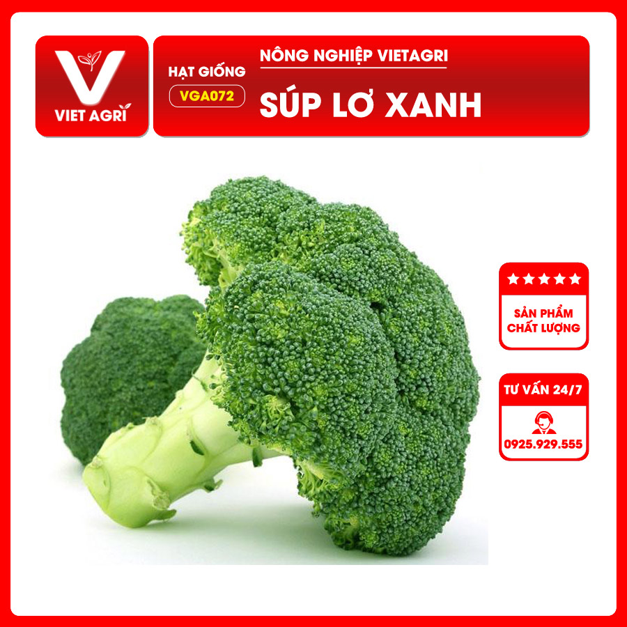 Hạt giống Súp Lơ Xanh F1 (VGA072)