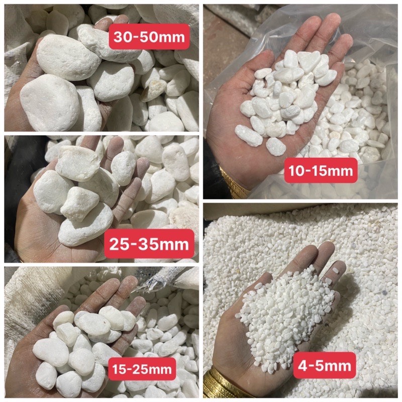 1kg sỏi trắng trang trí hồ cá - phụ kiện bể cá trang trí tiểu cảnh