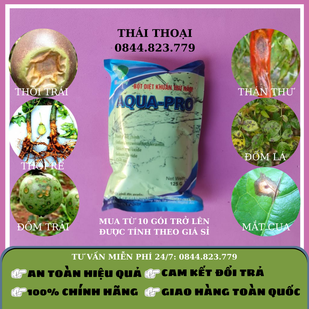 Thuốc bảo vệ thực vật diệt khuẩn aqua pro - trừ nấm bệnh cây trồng - trừ mắt cua - bã trầu - thối thân