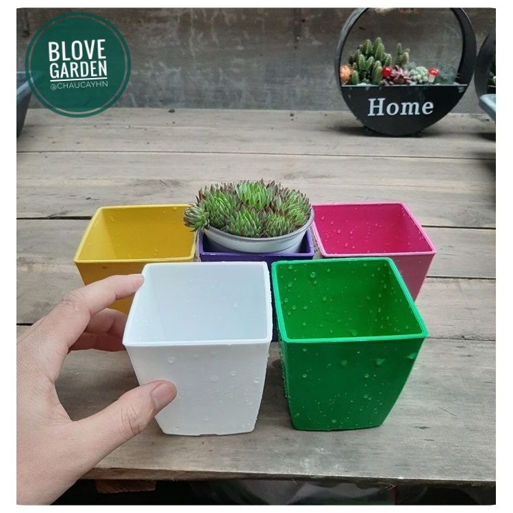 Đồ dùng làm vườn - 1 Chậu nhựa vuông cao cấp PP bóng đẹp độ bền cao trồng cây cảnh để bàn, sen đá, xương rồng