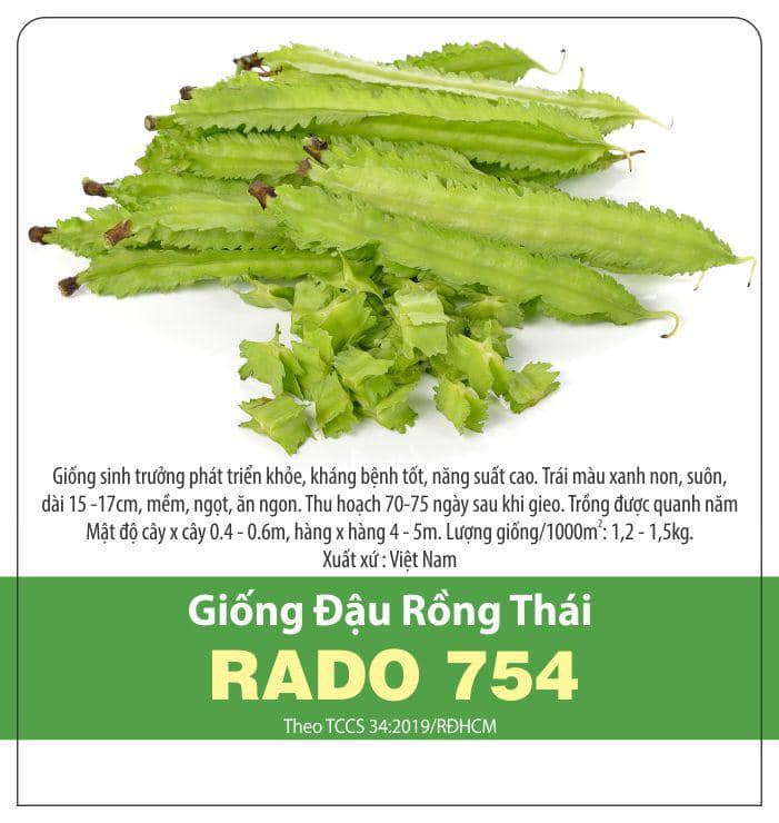 Hạt giống đậu rồng thái sai trái
