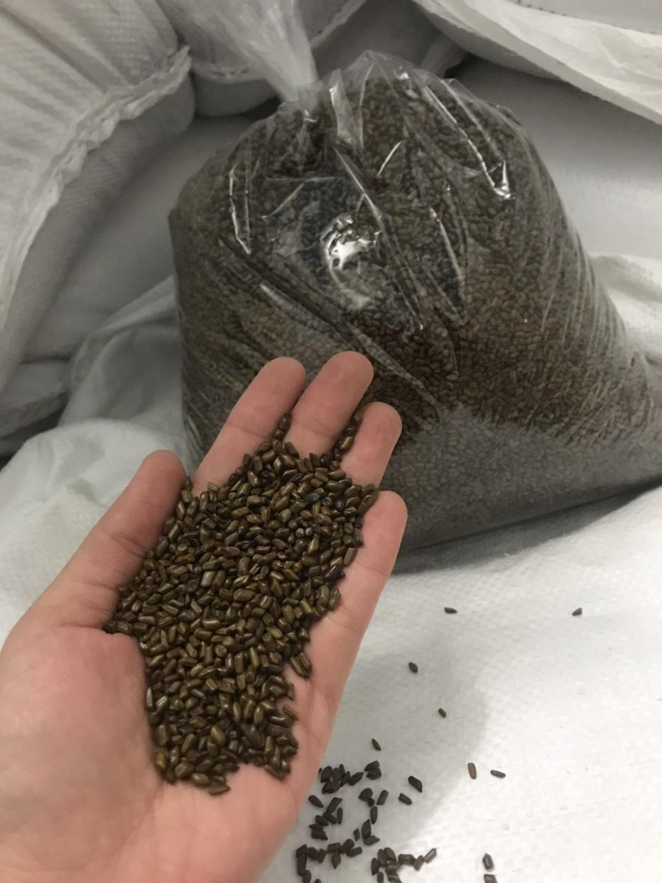 Combo 5kg hạt muồng đồ chơi xúc cát cho bé