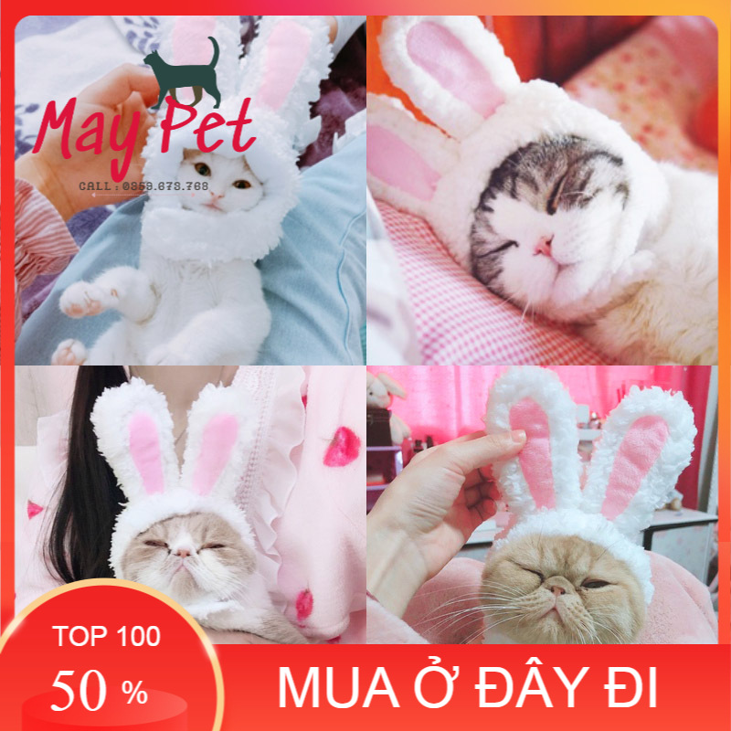 Tai thỏ đội đầu hóa trang cho chó mèo thú cưng - May Pet