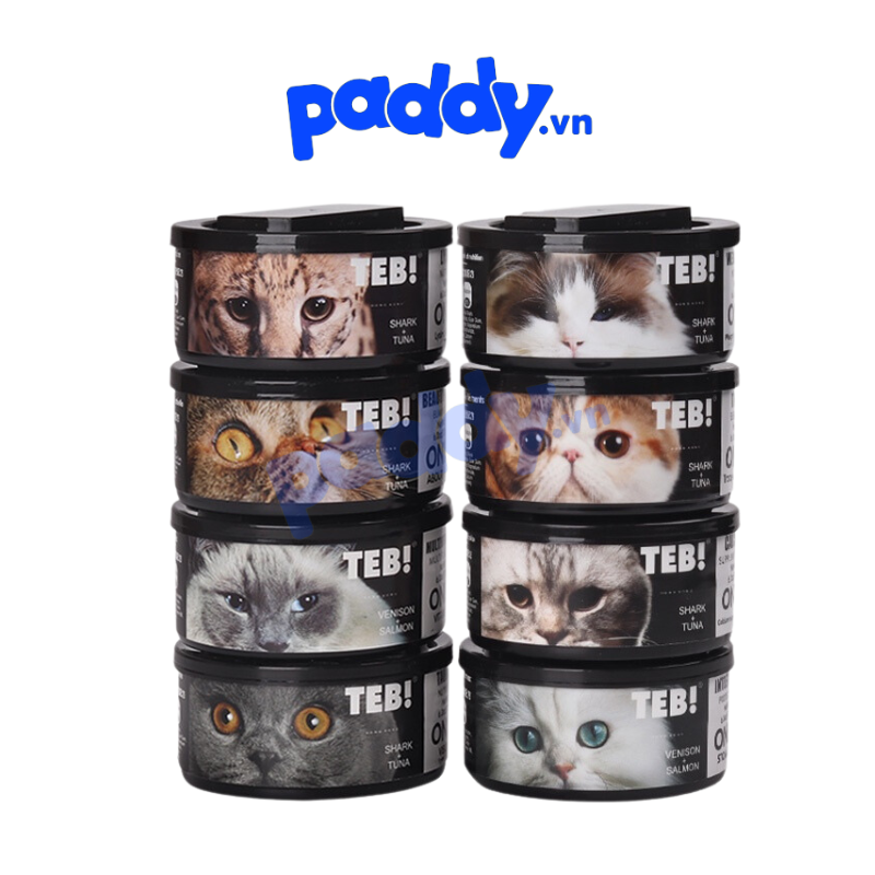 Pate mèo teb only bổ sung dinh dưỡng lon 170g