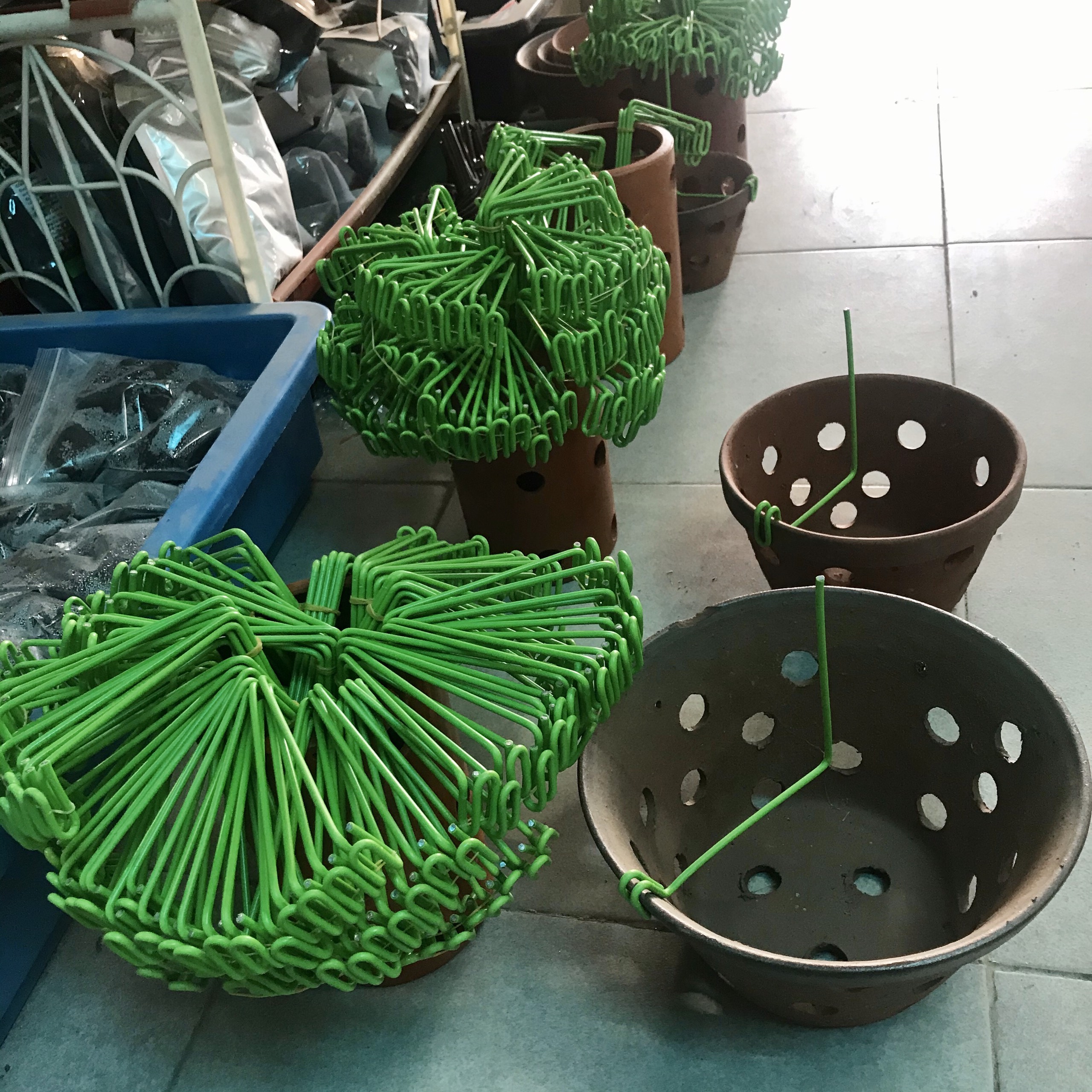 [ HOT ] 10 Ghim kẹp kei loại mới siêu tiện lợi trồng lan