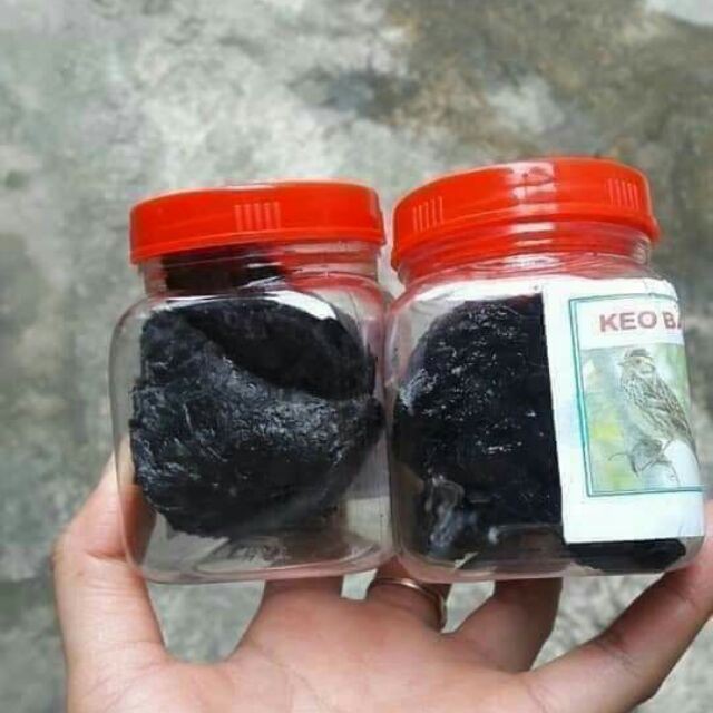 Combo 2 nọ keo bẫy chim siêu dính