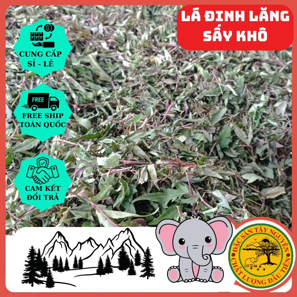 Lá đinh lăng khô - hỗ trợ chữa mất ngủ|| đặc sản tây nguyên 48 đăk nông