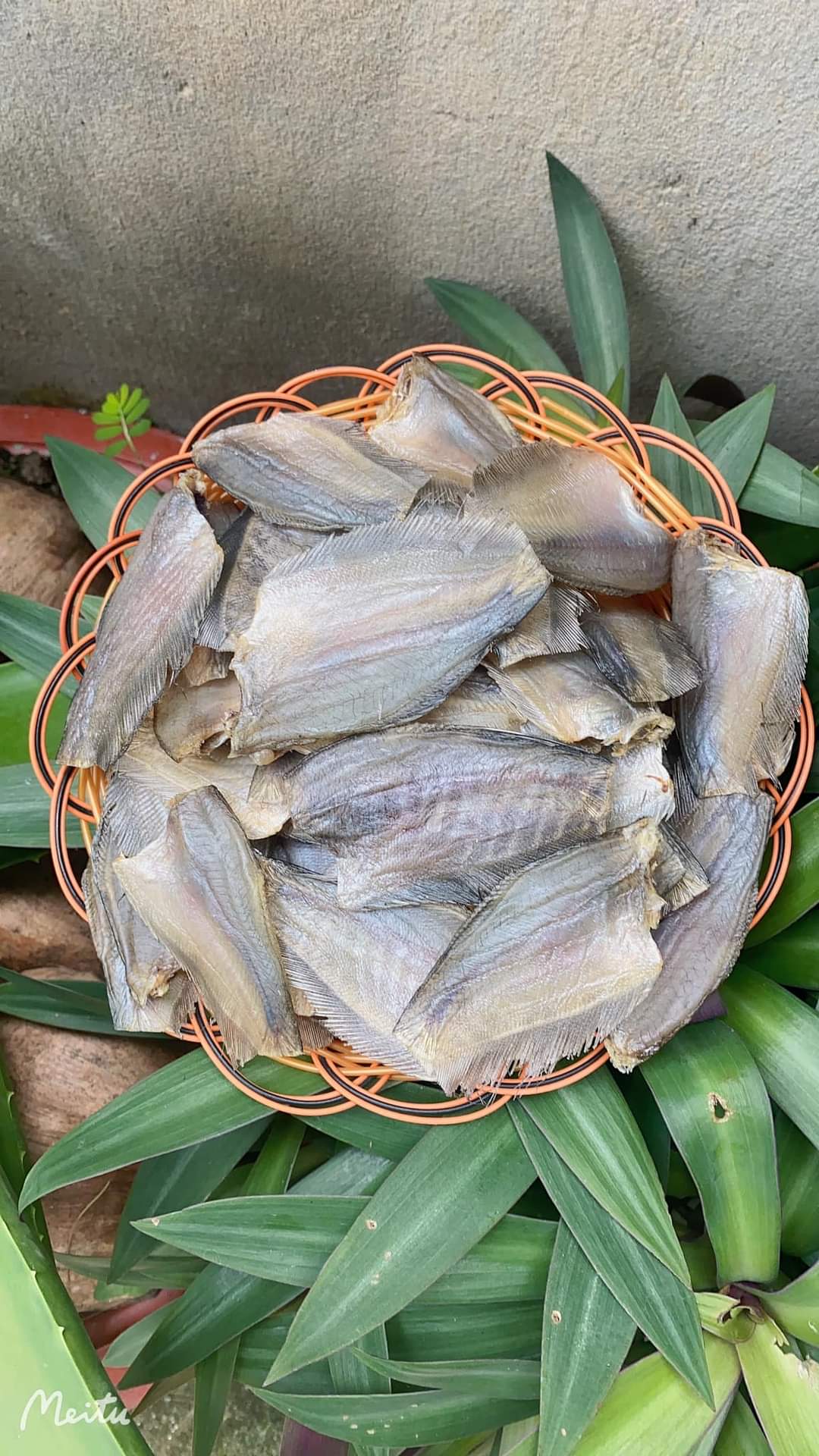 Khô sặc đồng, sặc bướm vị vừa ăn không mặn,Khô Ông chín