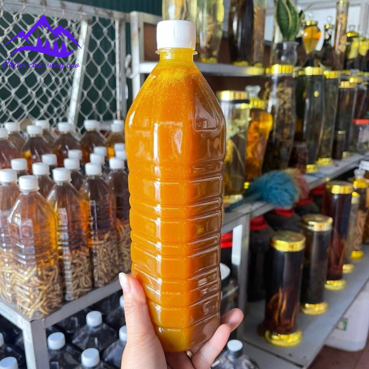 Mật ong phấn hoa vắt thủ công từ mật ong khoái rừng nguyên chất 100%, cam kết chuẩn rừng Tây Bắc được dân bản địa khai thác