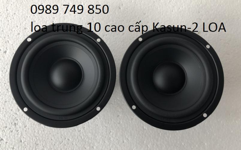 Loa trung 10 cao cấp-2 loa