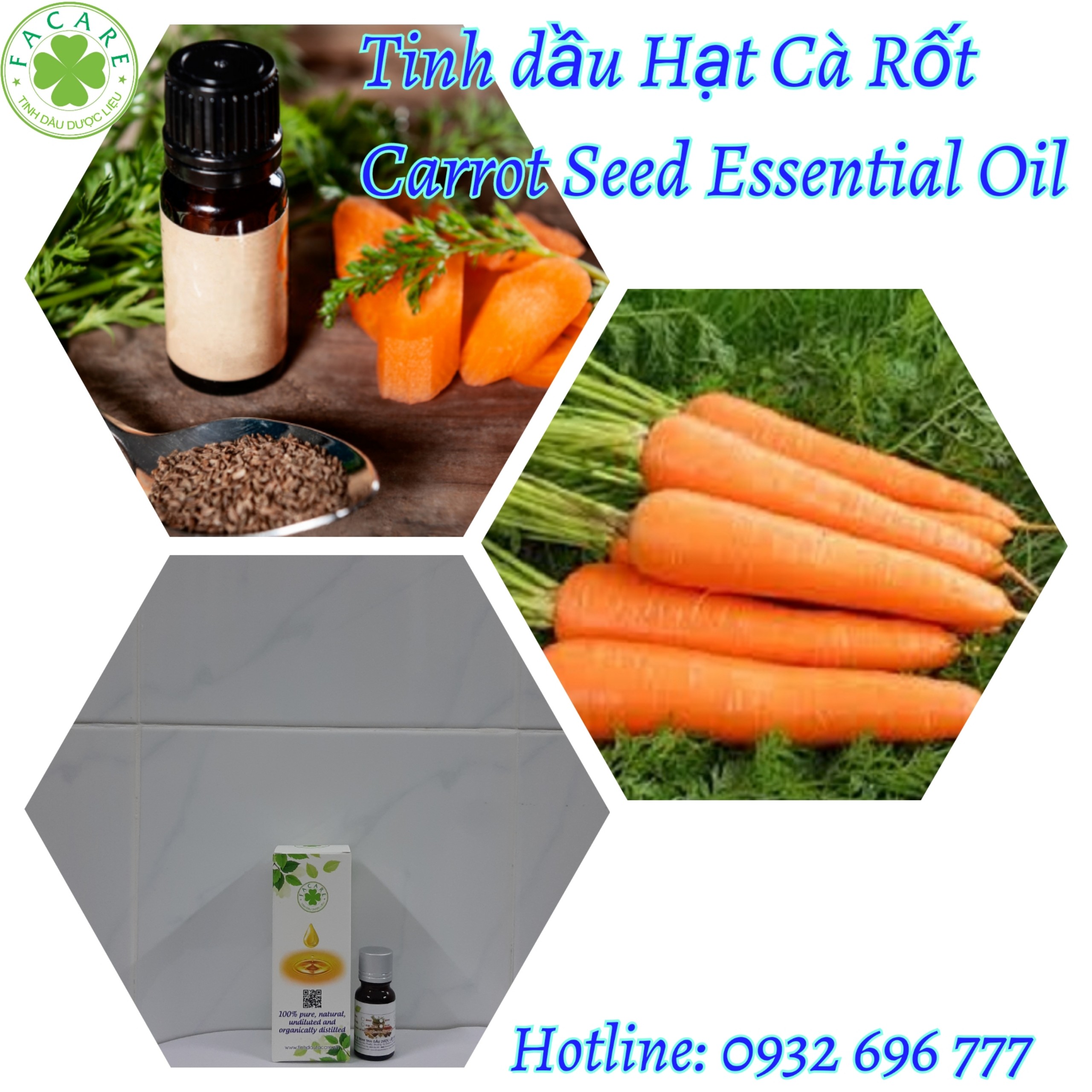 Tinh Dầu Hạt Cà Rốt Carrot seed essential oil - 10ml