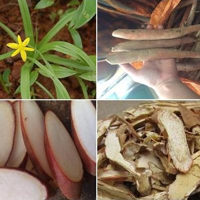 0,5 Sâm cau khô loại đặc biệt