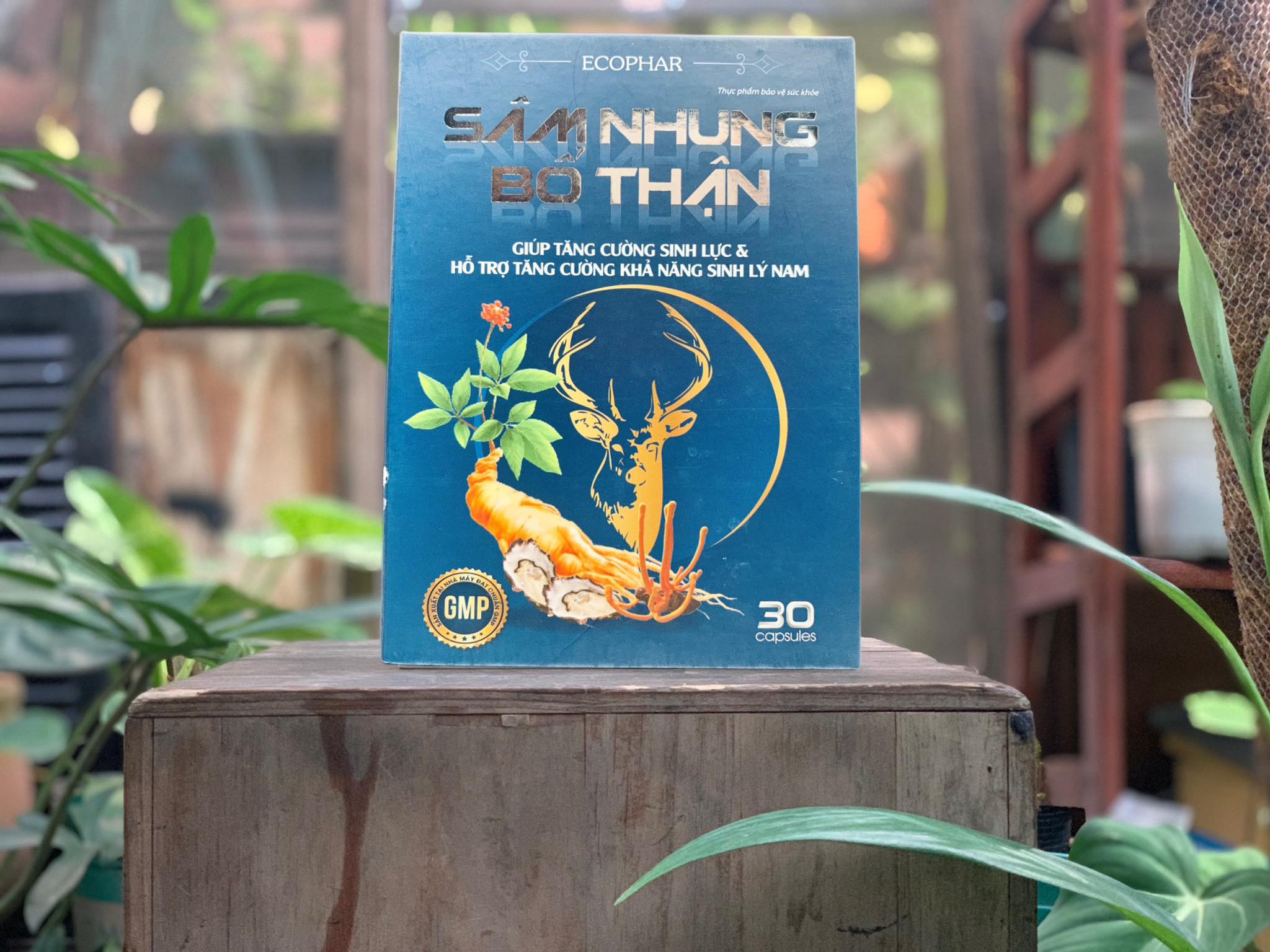 Sâm nhung bổ thận tăng cường sức khoẻ nam giới