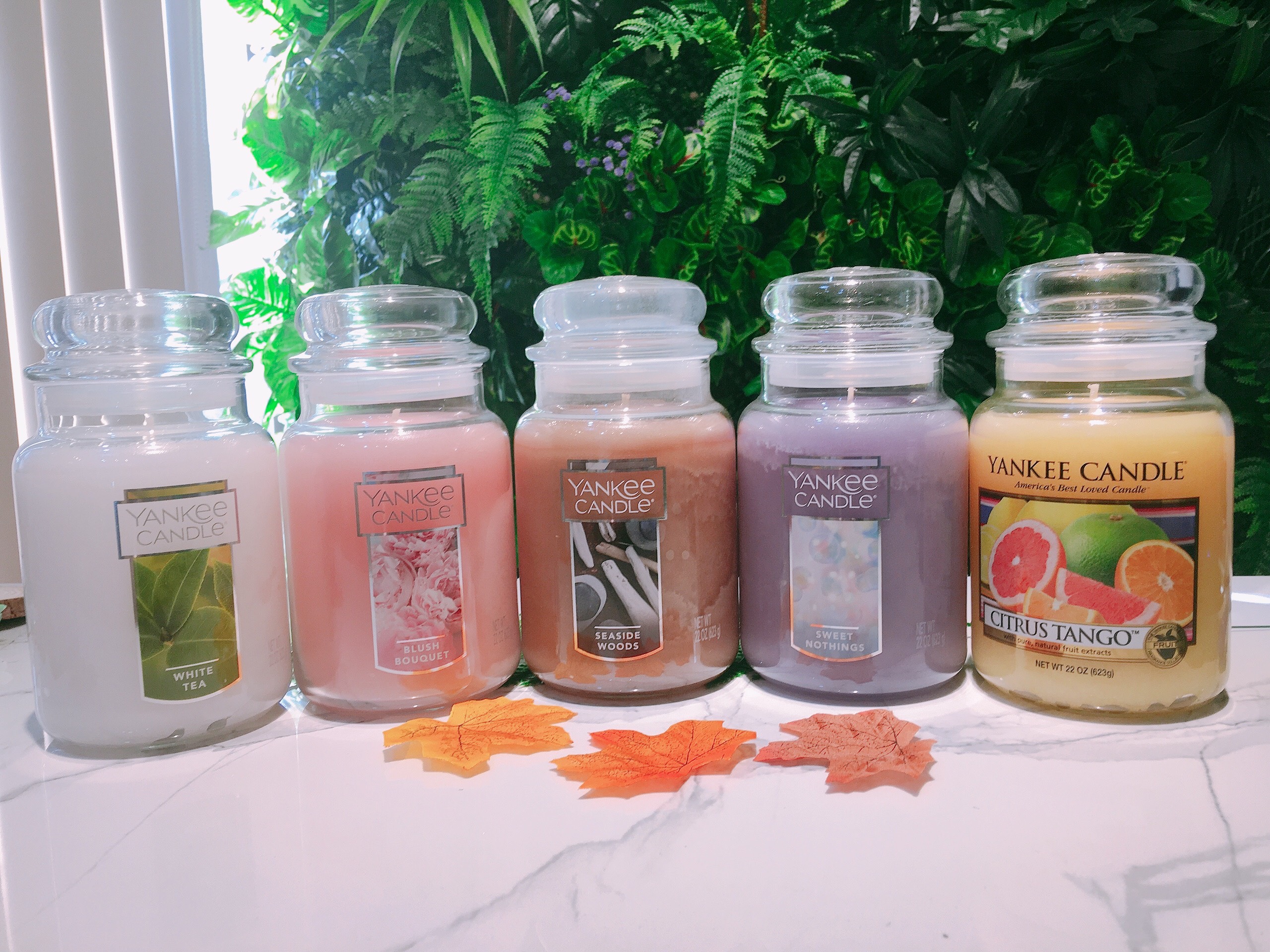 Yankee candle, nến yankee mỹ, nến hũ size l, sáp nến thơm, nến và phụ kiện, trang trí nhà cửa, nến thơm yankee, nến hũ yankee size l