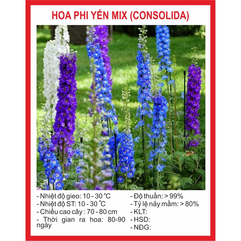Hạt giống hoa phi yến mix 50 hạt