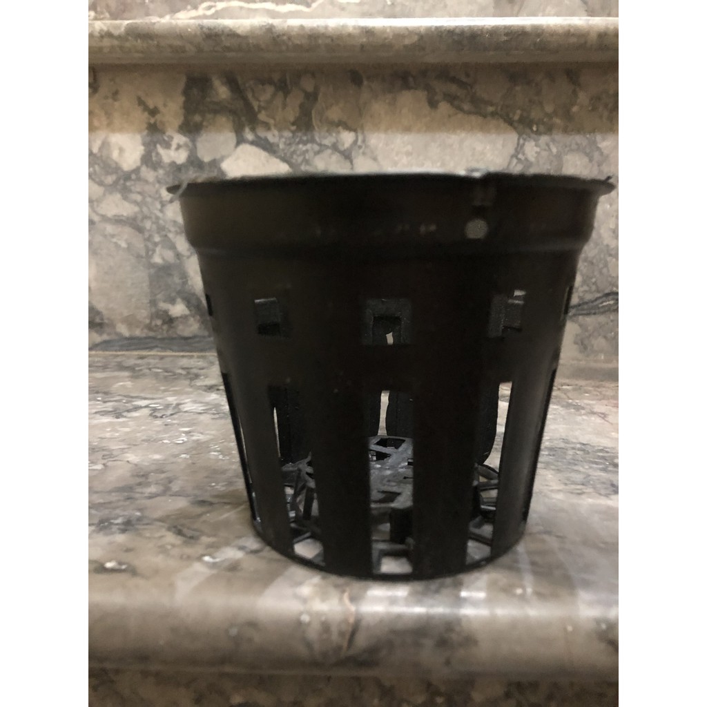 30 Chậu nhựa đen trồng lan F12, giúp cây hấp thụ lượng nước phù hợp nhất, không gây úng, thối rễ cây