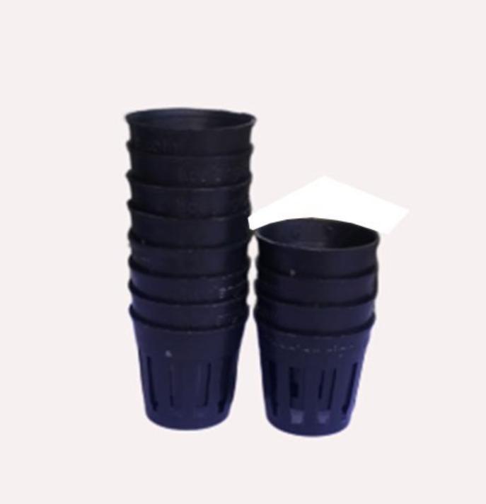 100 chậu trồng lan cấy mô, cây giống các loại tiện dụng