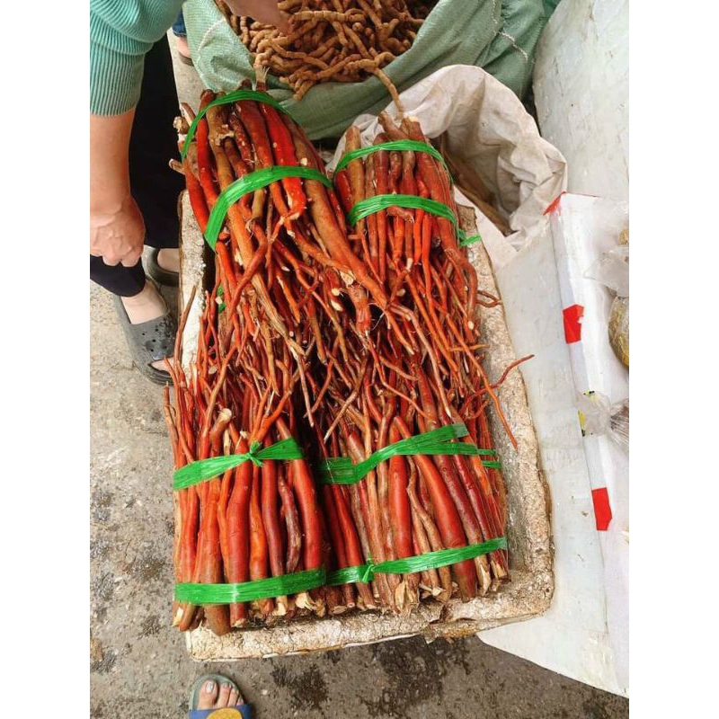 SÂM CAU ĐỎ 1kg tốt cho sức khỏe