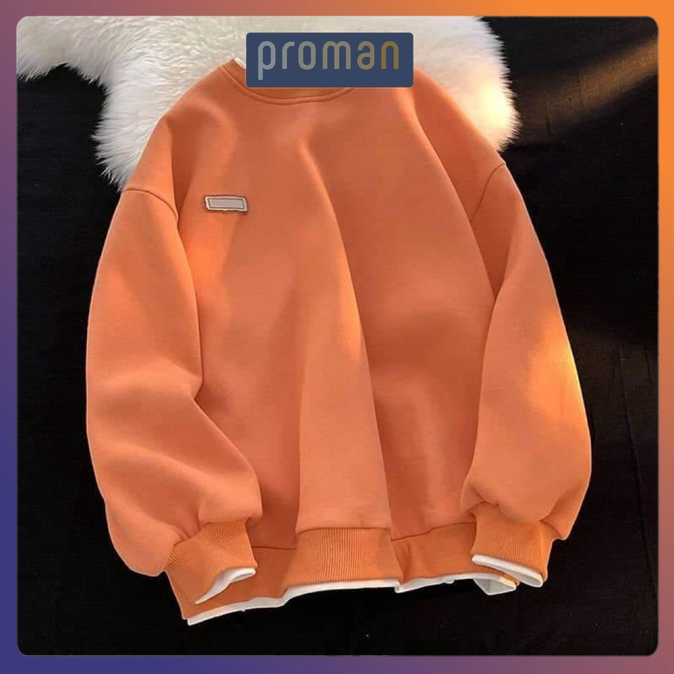 Áo Sweater nam nữ dài tay form rộng, Áo sweater nam nữ unisex AD02 - PROMAN