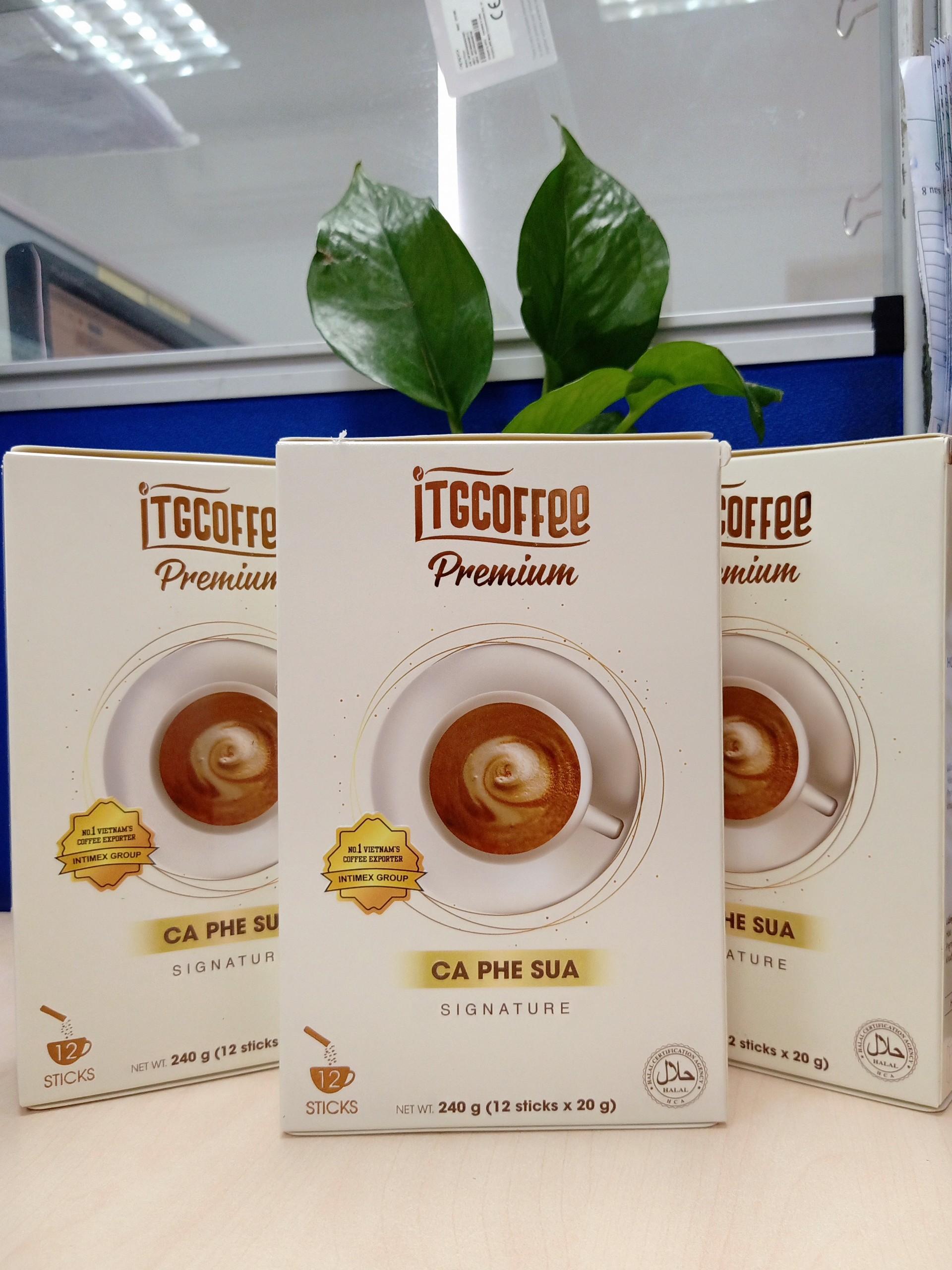 Combo 3 hộp cà phê sữa – loại thượng hạng - itgcoffee premium 12 gói/ hộp