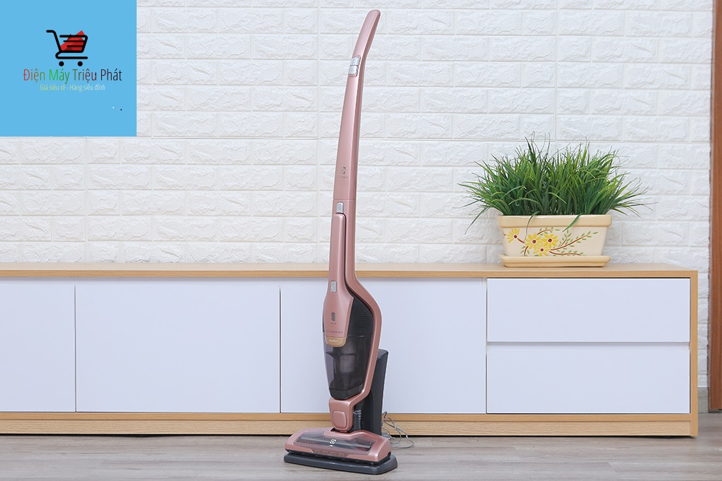 Máy hút bụi cầm tay electrolux zb3314ak