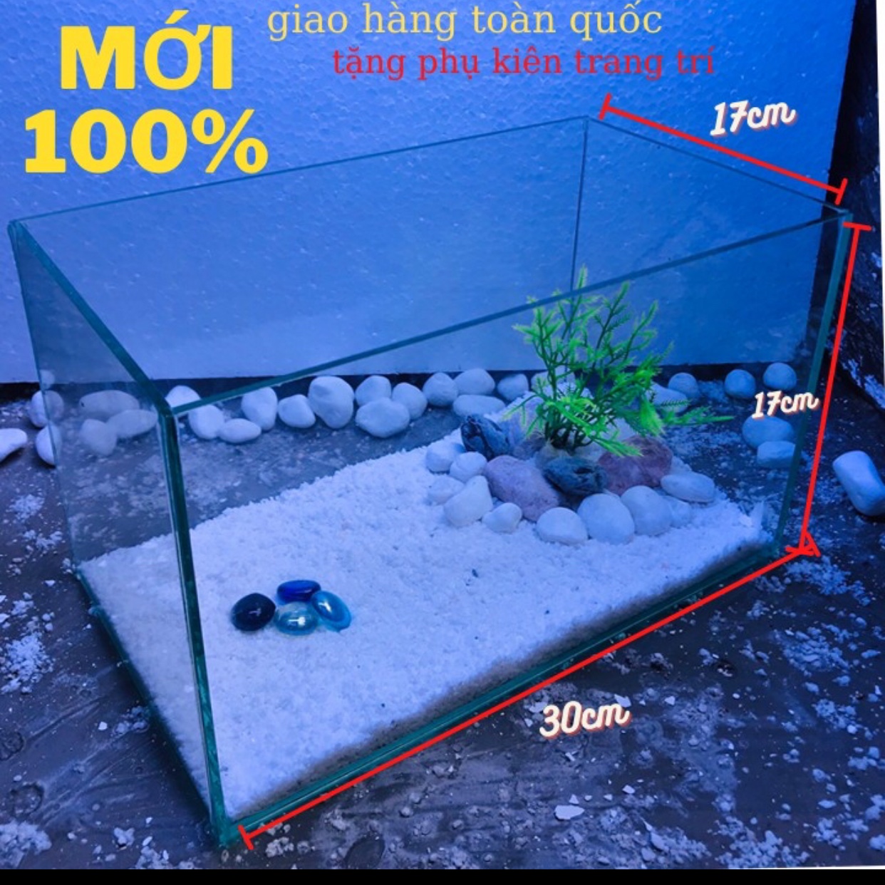 bể cá thủy sinh 30x17x17