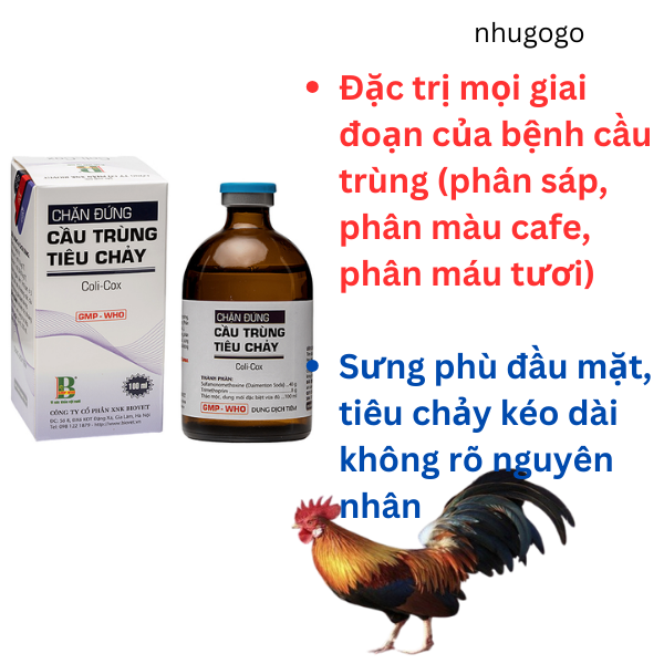 Chặn đứng cầu trùng tiêu chảy Coli Cox qui cách 20ml