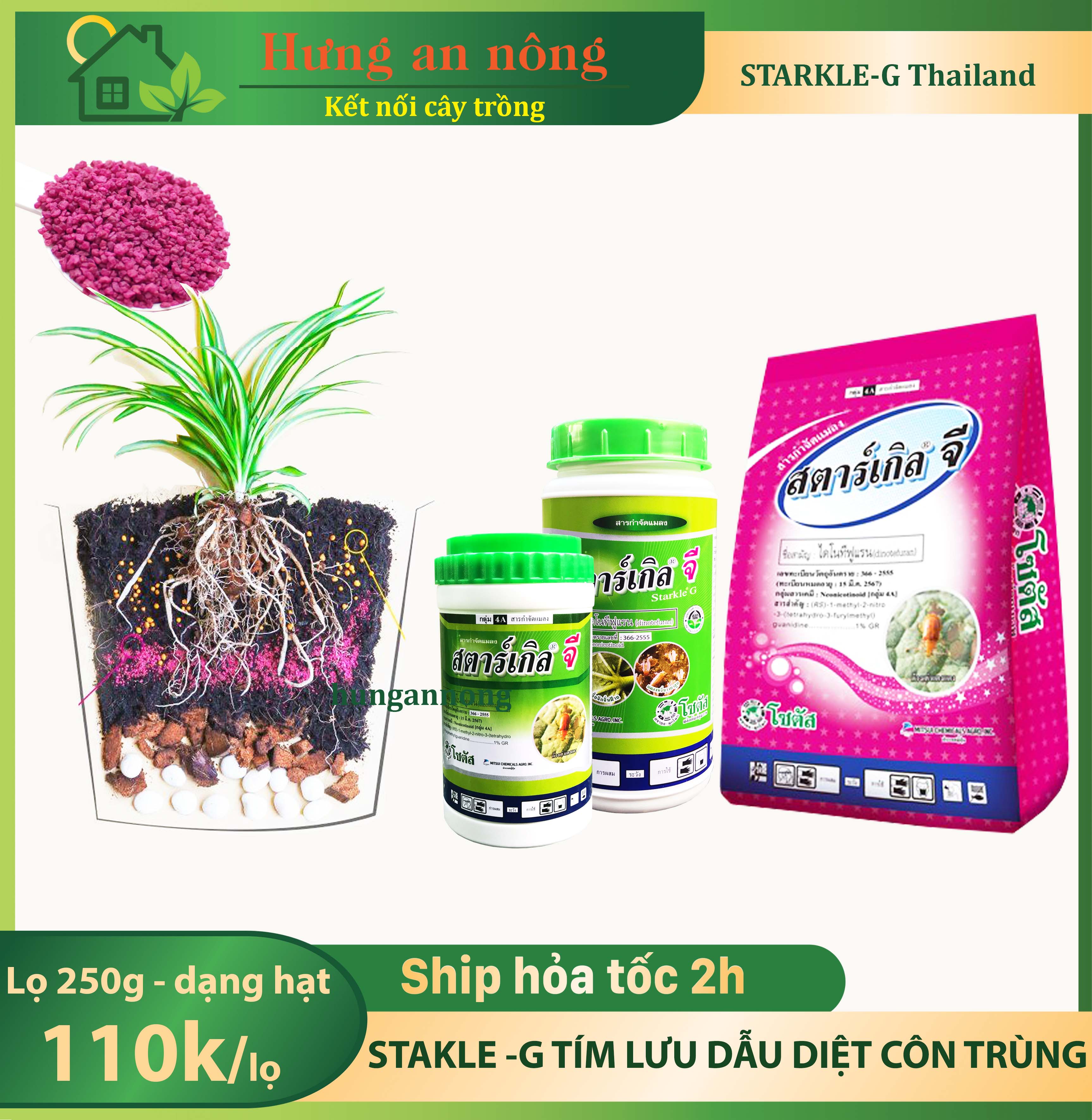 Starle-G thu.ốc tím lưu dẫn diệt côn trùng hàng Thailand 250g, 500g