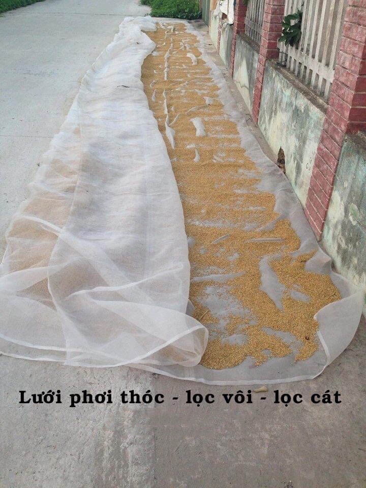 Lưới phơi thóc , phơi nông sản, cà phê các loại Kích thước 6x4 - mắt lưới 1mm