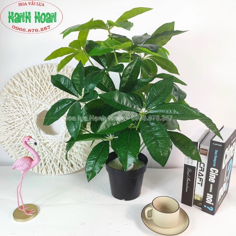 Cây hoa sữa giả 18 lá cao 80cm - cây decor