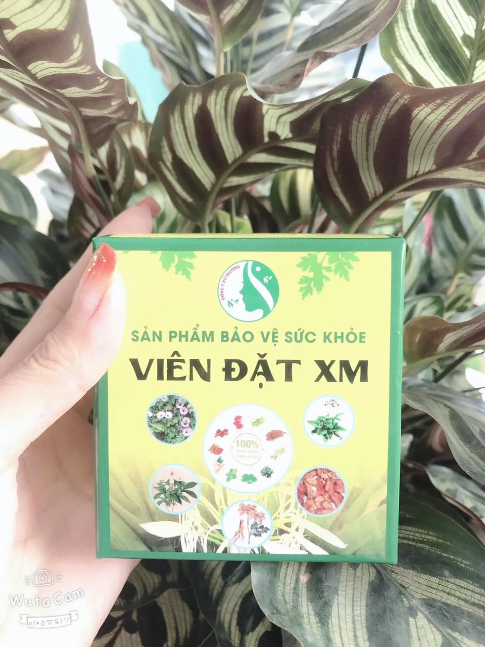 Viên Đặt XM