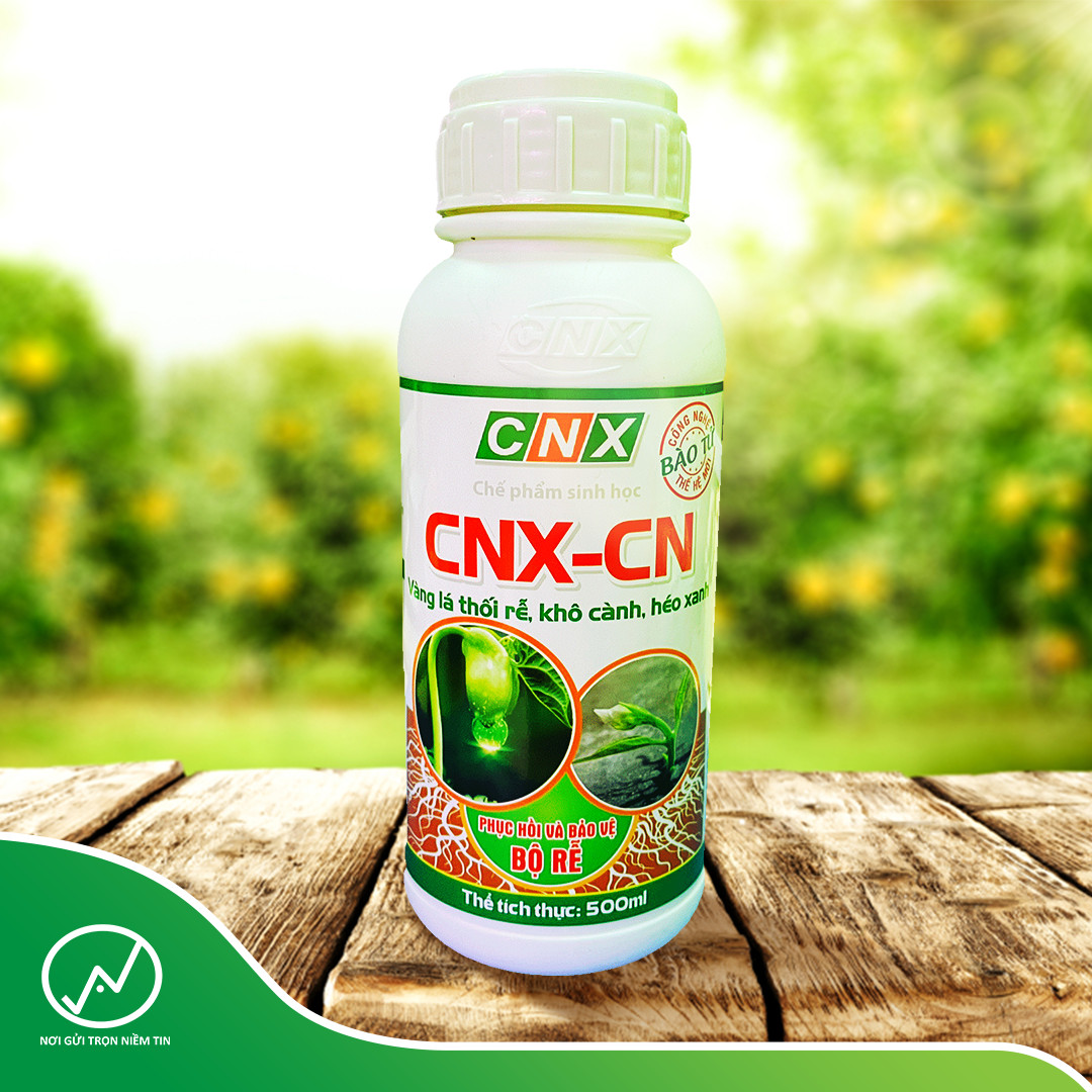 Chaetomium - Tiêu diệt, ngăn ngừa nấm bệnh trong đất CNX - CN