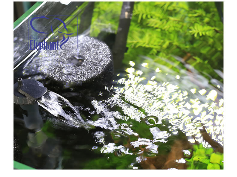 Lọc hơi Bio vi sinh kèm bơm cho hồ cá cảnh, hồ thủy sinh