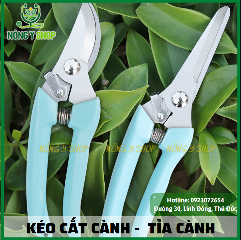 Kéo cắt cành, kéo tỉa cành- Kéo chuyên dụng cắt que kem gỗ, tăm tre Không Gỉ Có Độ Cứng Cao Lò Xo Đàn Hồi