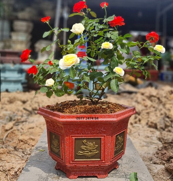 Khuôn đúc chậu cảnh ABS lục giác 38 cao 28cm