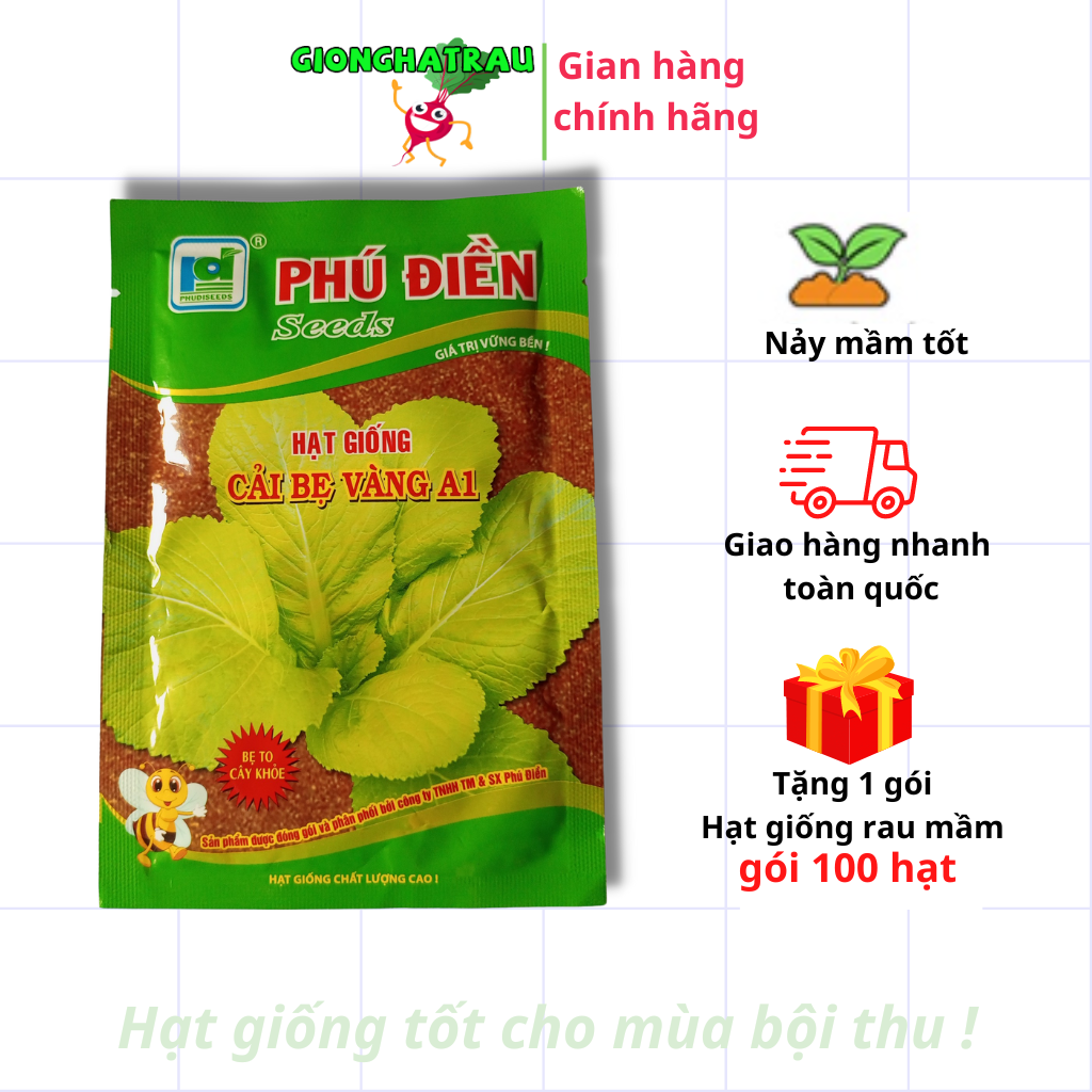 Hạt giống cải bẹ vàng hạt giống rau củ quả GIONGHATRAU sinh trưởng khỏe gói 50gr