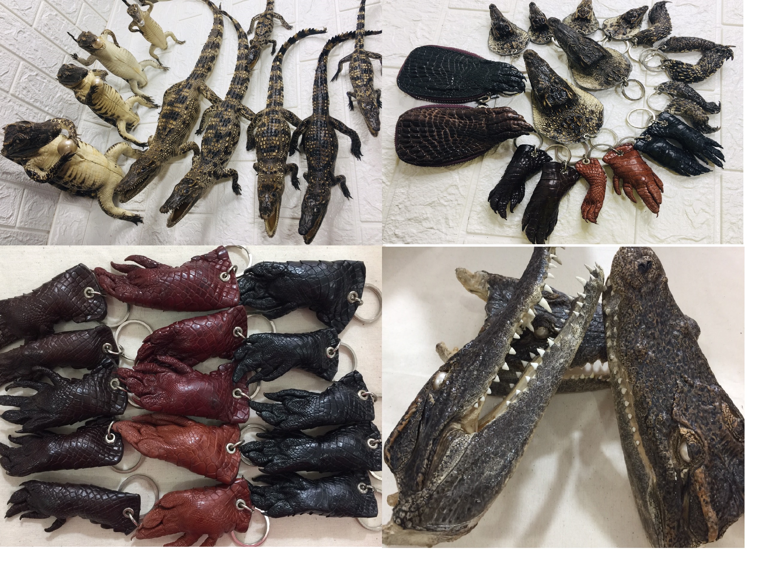 Móc khóa của móc khóa xe