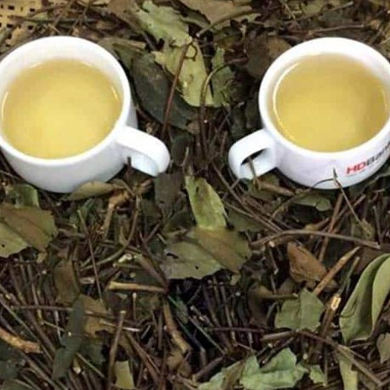 Chè vằng sẻ khô - db004