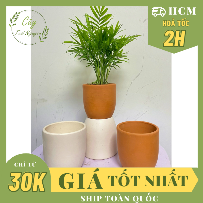 Chậu trứng đất nung size s , gốm đất nung, chậu cây mini, sen đá, xương rồng cây tươi nguyên ctn0970
