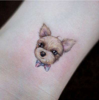 Hình dán chó cún nâu poodle c03