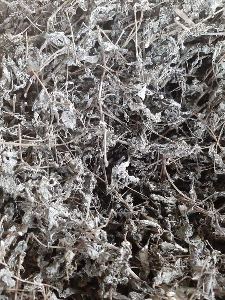 Trà dây rừng Di Linh tiêu diệt virút HP dạ dày