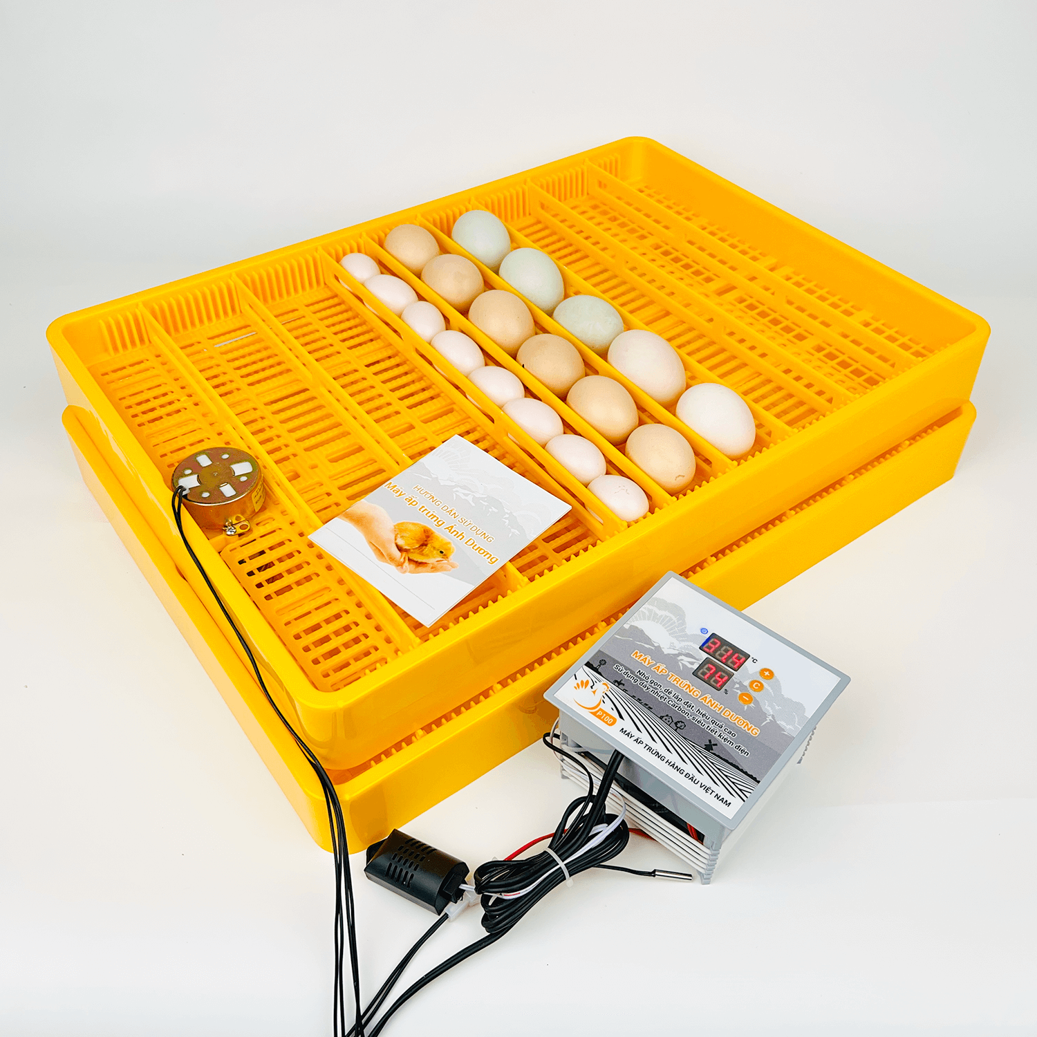Combo Máy ấp trứng Ánh Dương P100 có Khay đảo trứng lăn cao cấp 116 quả, lắp thùng xốp
