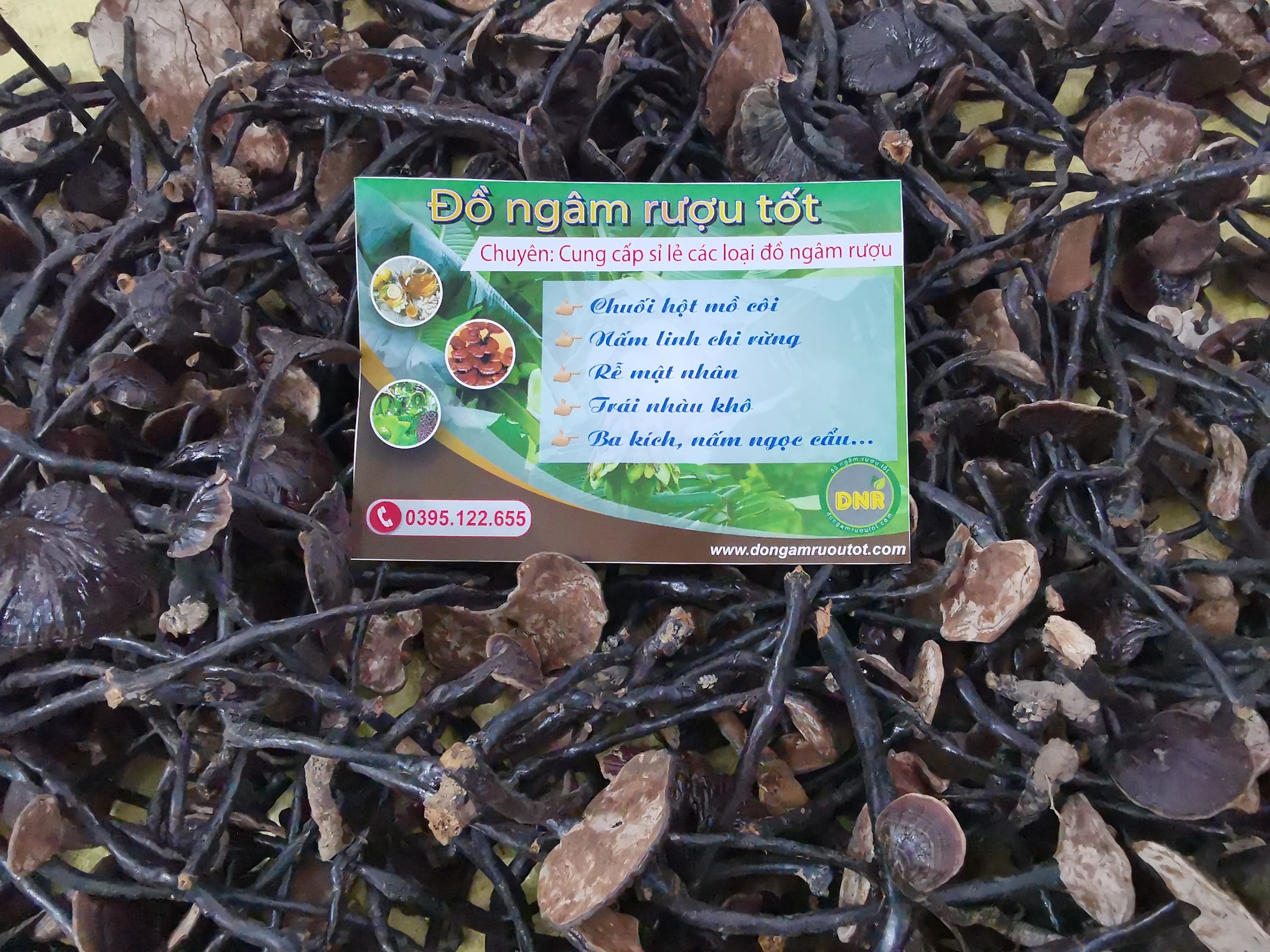 Nấm linh chi rừng Ninh Thuận túi 1kg