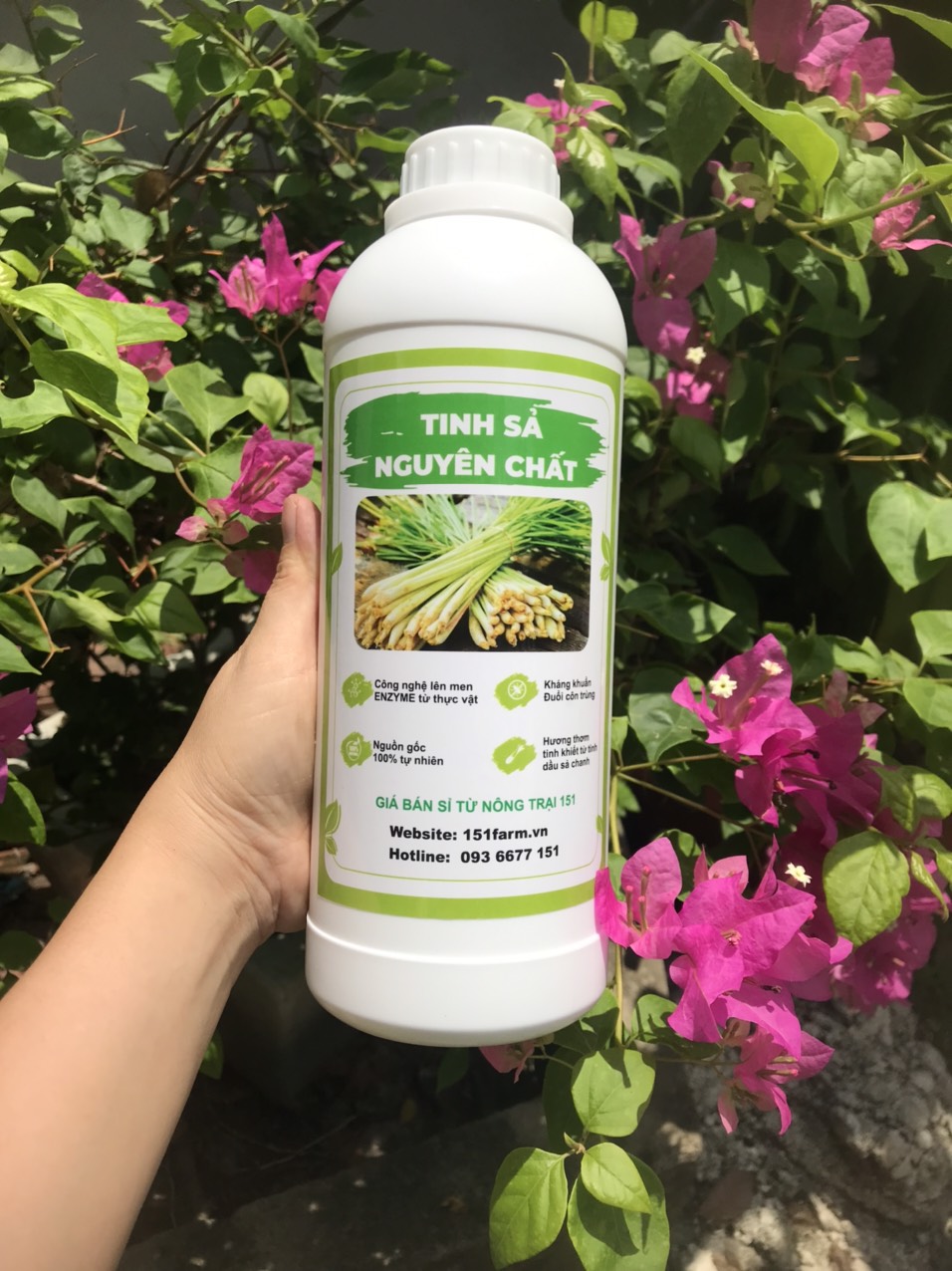 TINH SẢ CHANH NGUYÊN CHẤT 1 LÍT GIÁ NÔNG TRẠI