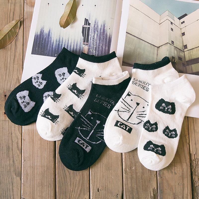 Vớ tất mèo đen trắng